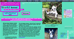 Desktop Screenshot of colorfulbostons.com